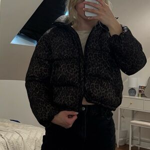 American Eagle Outfitters Brown and Black Puffer Jacket